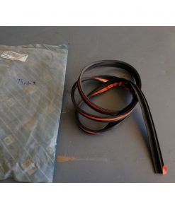 BAGUETA DE EMBELLECEDOR DE PORTON TRASERO