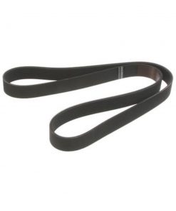 CORREA DE ACCESORIOS