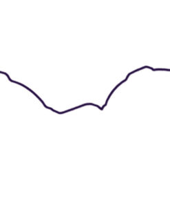 JUNTA DE TAPA DE DISTRIBUCION