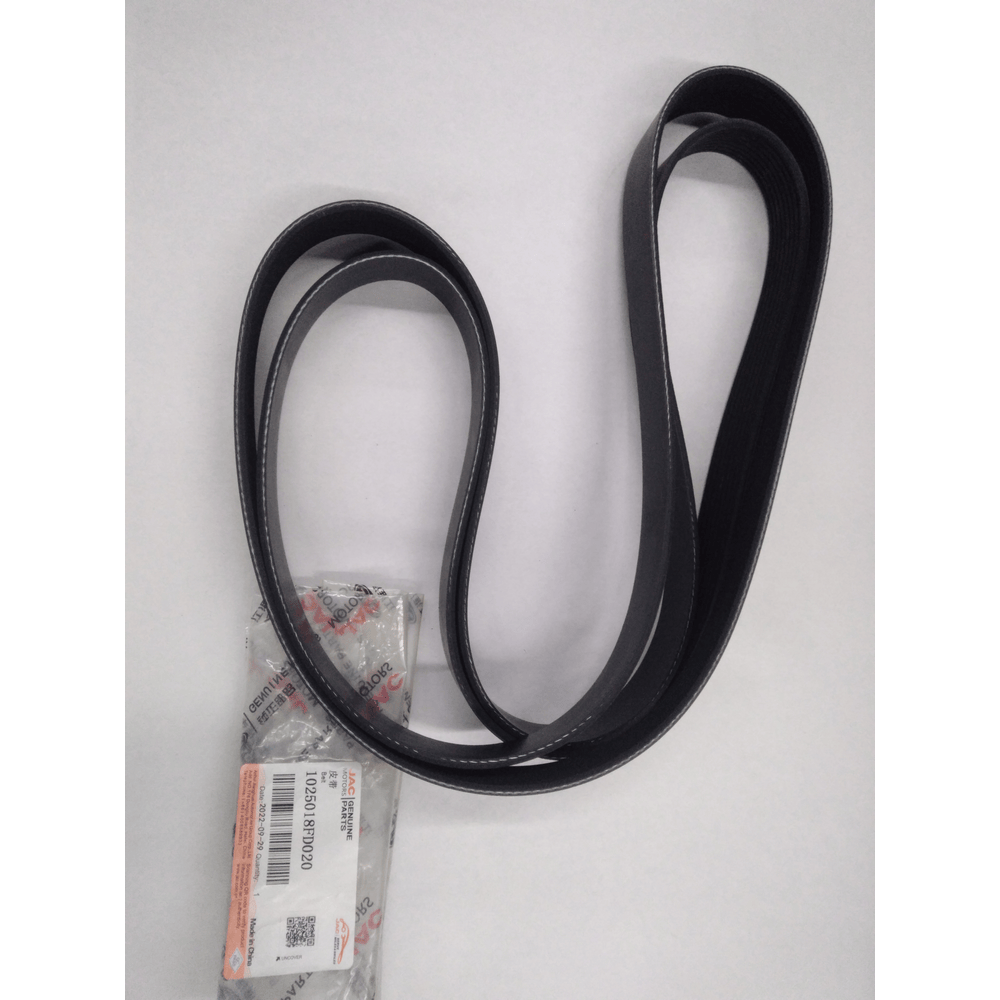 CORREA DE ACCESORIOS