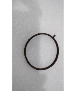 JUNTA DE CUERPO DE MARIPOSA