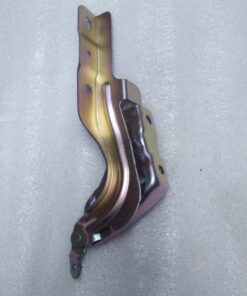 BISAGRA DE CAPO IZQUIERDA